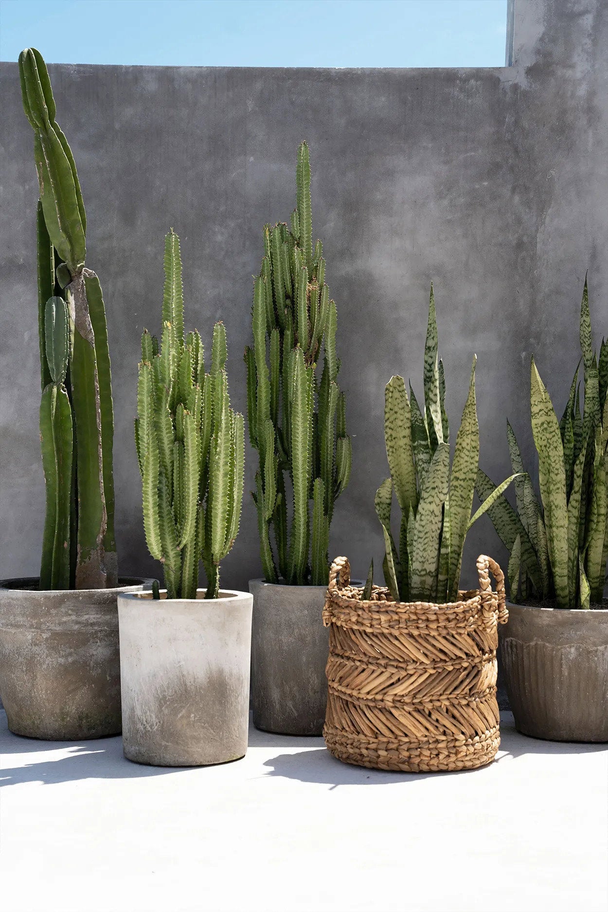 Banana Zigzag Kurv - M - Nordic Unique