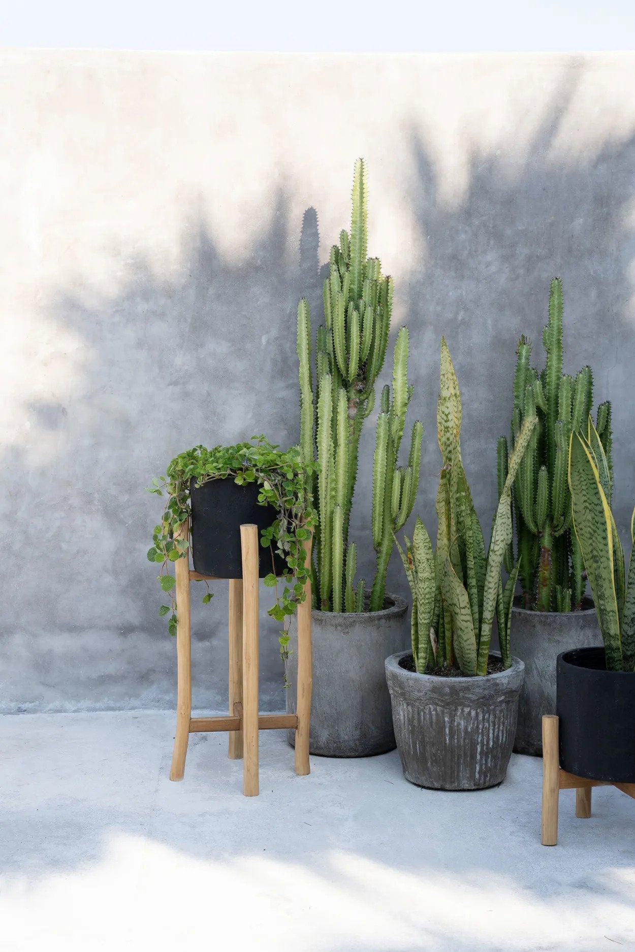 Charcoal Tall Jar - Black Natural - L