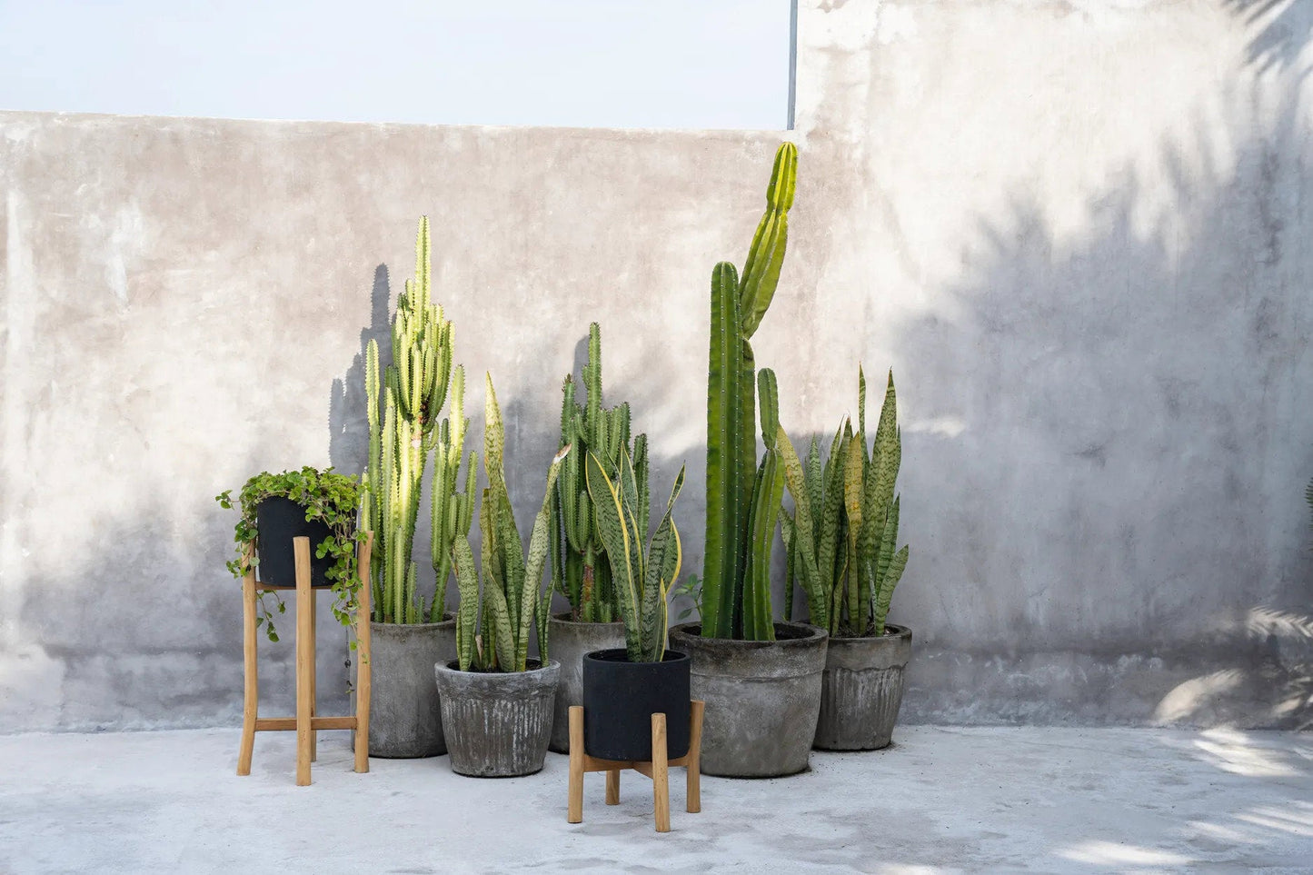 Charcoal Tall Jar - Black Natural - L