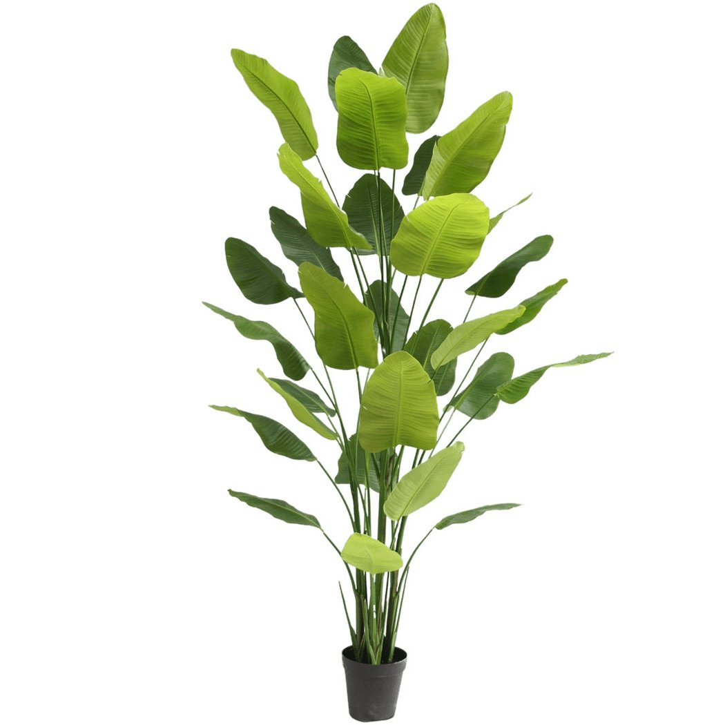 Kunstig Plante Strelitzia Real Touch Deluxe – 300 cm - Nordic Unique