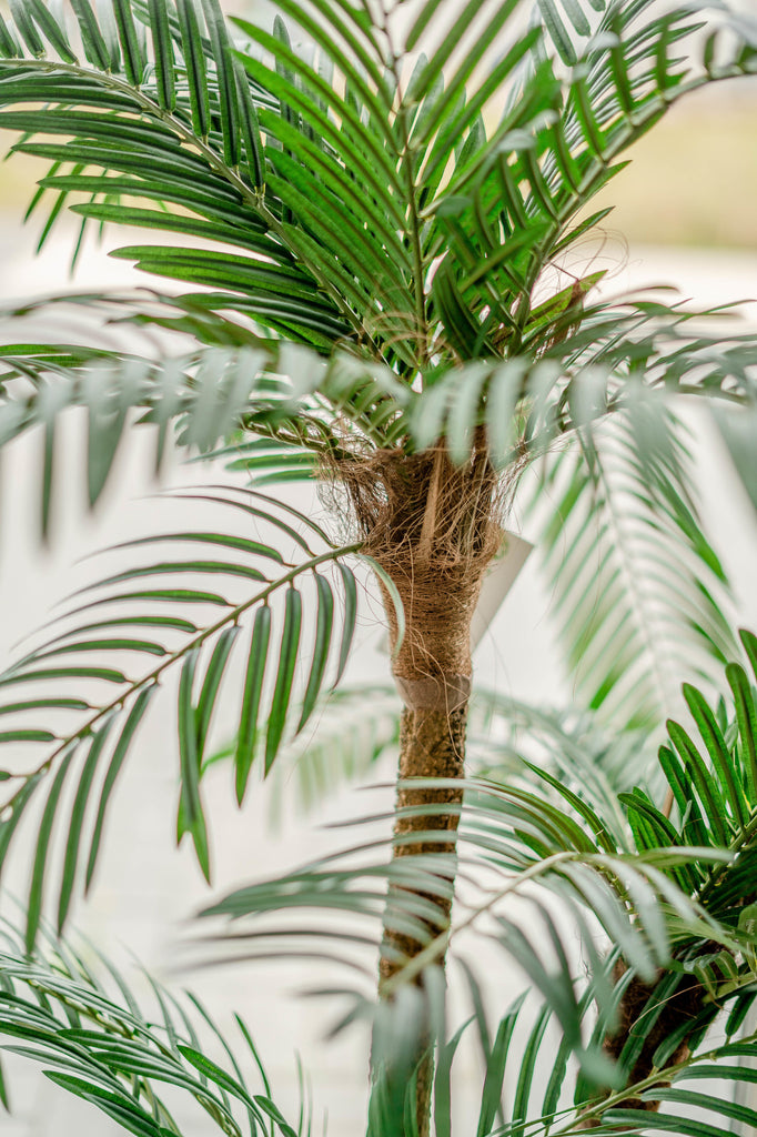 Cycas Kunstpalme Classic 135 cm