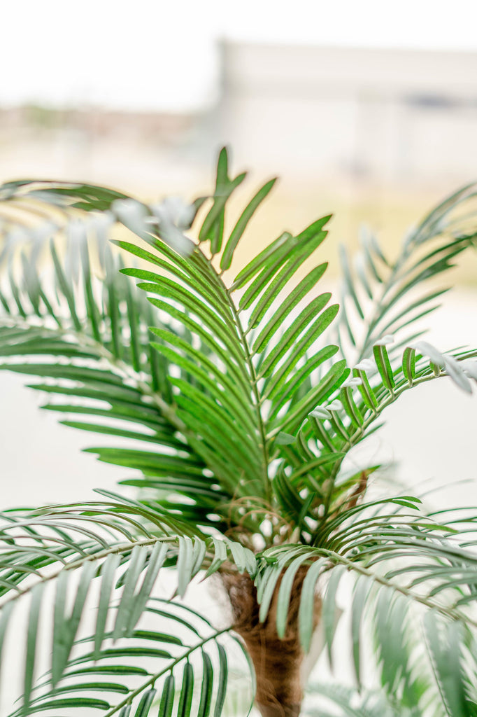 Cycas Kunstpalme Classic 135 cm