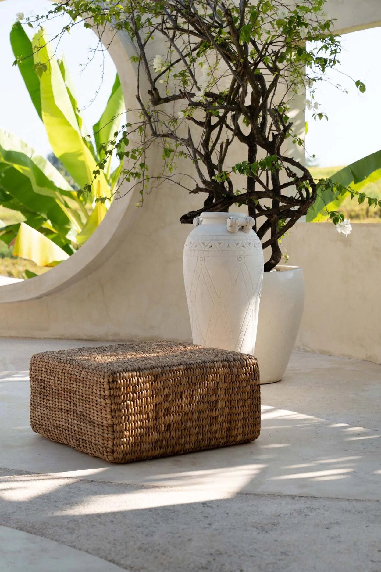 Hyacintpuff Square - Nature - M