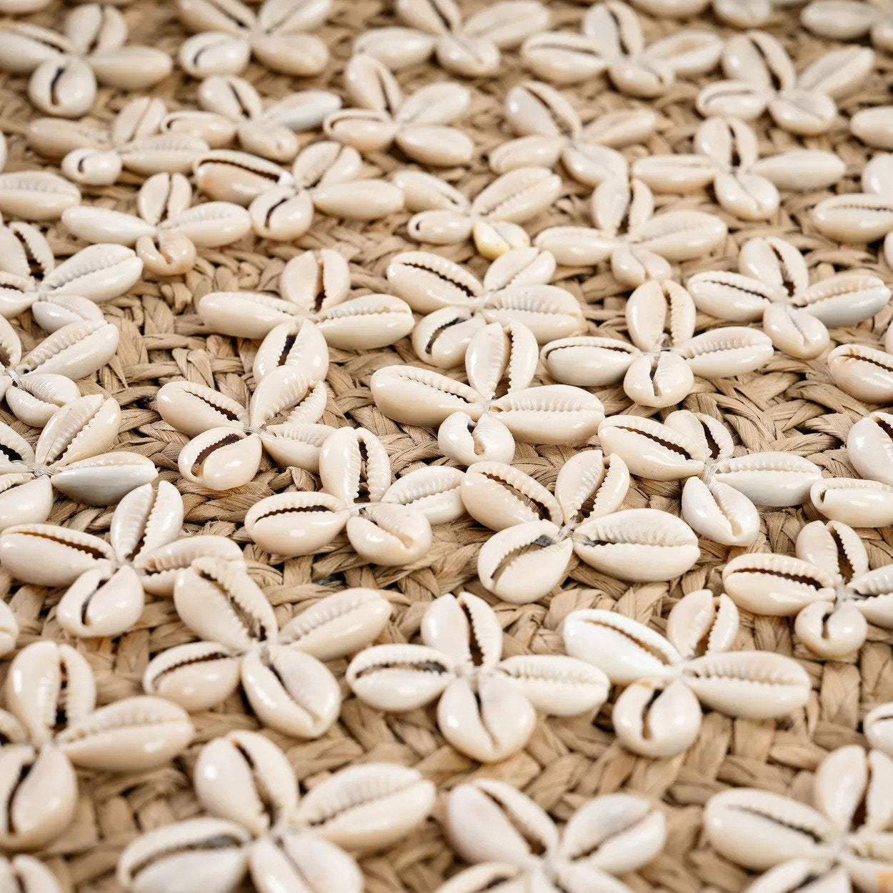 Costa Shell Väggkonst - Naturvit - M
