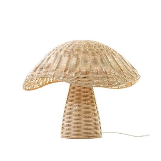 Boletus, bordlampe svamp naturlig