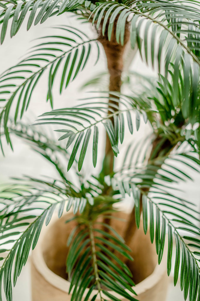 Cycas Kunstpalme Classic 135 cm