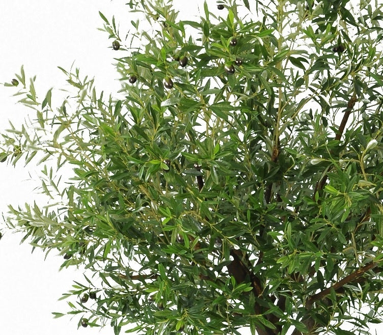 Kunstig oliventræ på 270 cm med oliven
