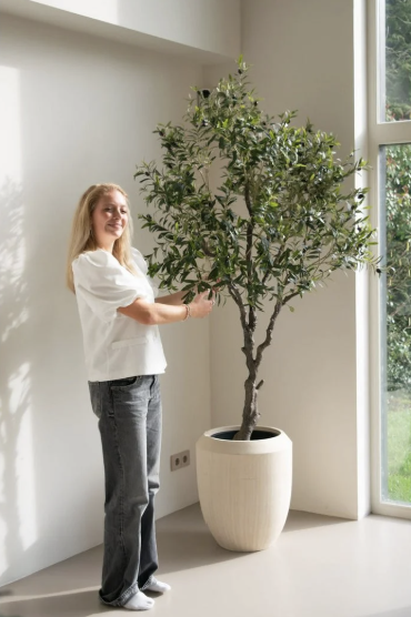 Kunstig Oliventræ 200 cm